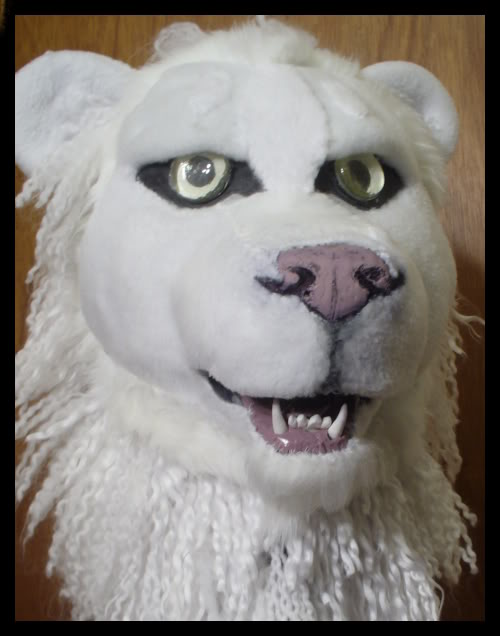 Albino Lion