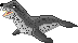 IEP: Leopard Seal