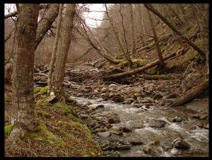 Ushuaia 2006 VIII