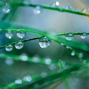 Hang in there by minastir Hang in there by minastir