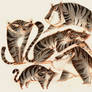 Tigers