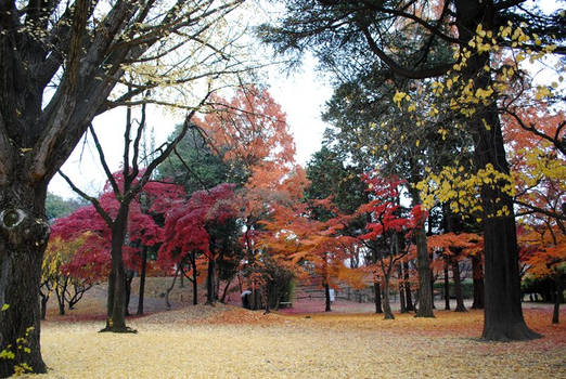 Ueda-jo Foliage