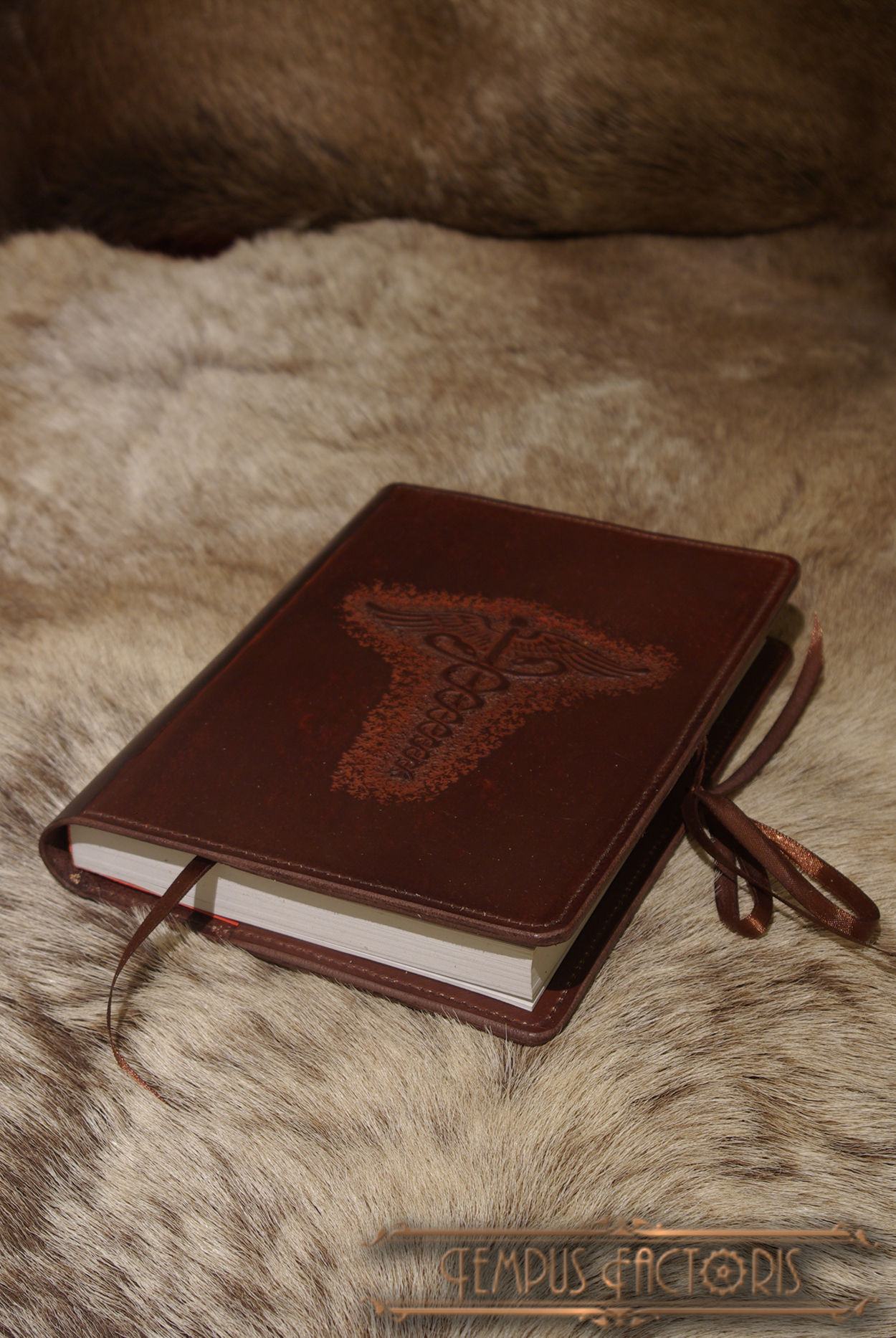 Le grimoire d'hermes