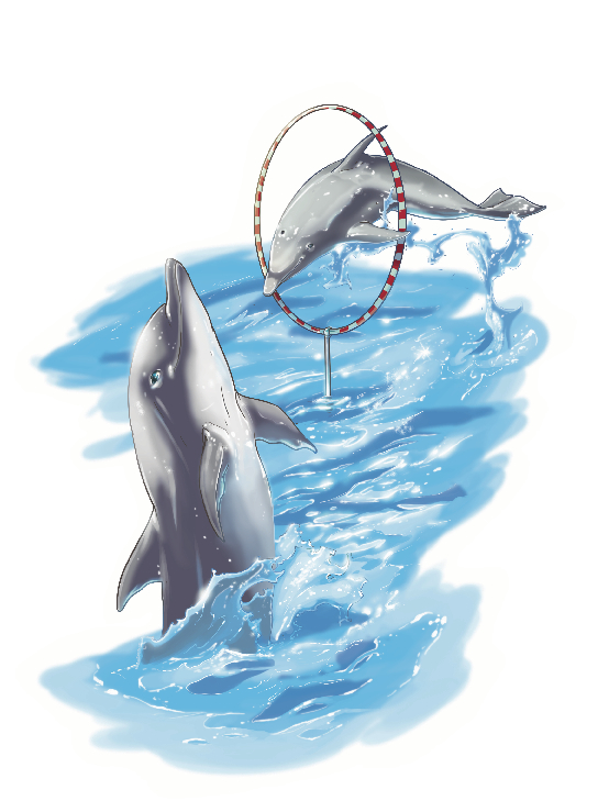 The Dolphin Show