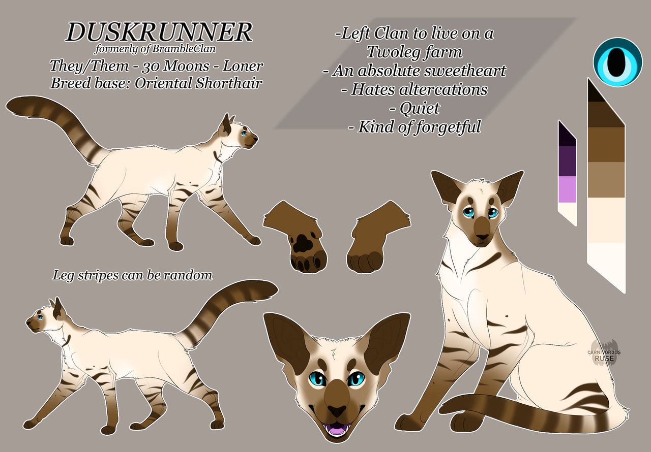 Duskrunner Ref by CarnivorousRuse on DeviantArt