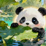 Lily Pad Peek Panda