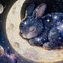 Galaxy Rabbit Sleeping on the Moon