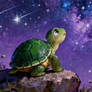 Turttle Star Gazer