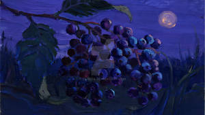 Elderberry Night
