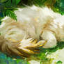 Ragdoll Cat with Green Aura Surrounding
