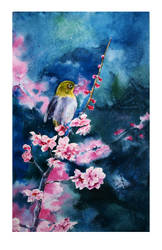 Japanese White-Eye with Plum Blossoms