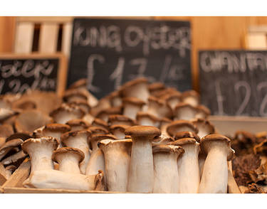 Burrough Market Mushrooms Dev