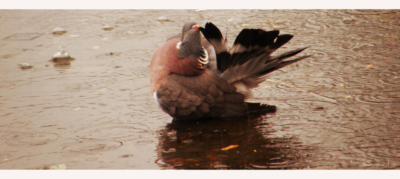 Taking a Bath