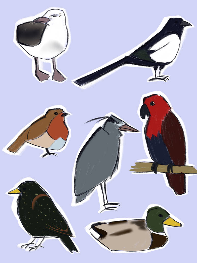 Deviantart Bird Designs Birds by Beniyumi on DeviantArt