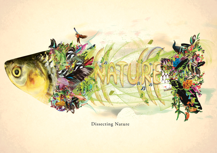 Dissecting Nature: Breaking a Nature