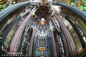 Basilica La Sagrada Familia Interior