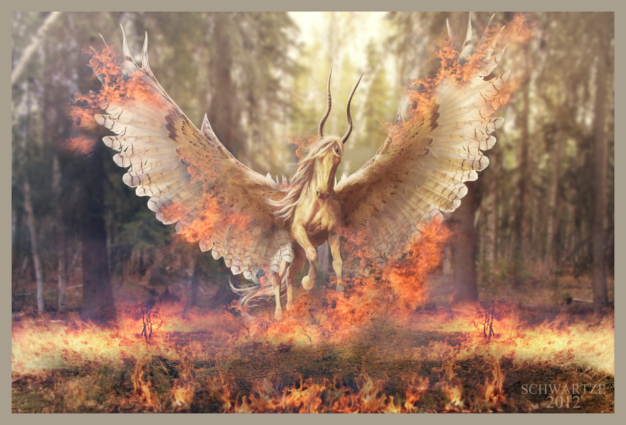 Огненные Крылья. Пегас пожар. Феникс пламя Поттер арт. Картинки горящие Крылья. Сгорающие крылья