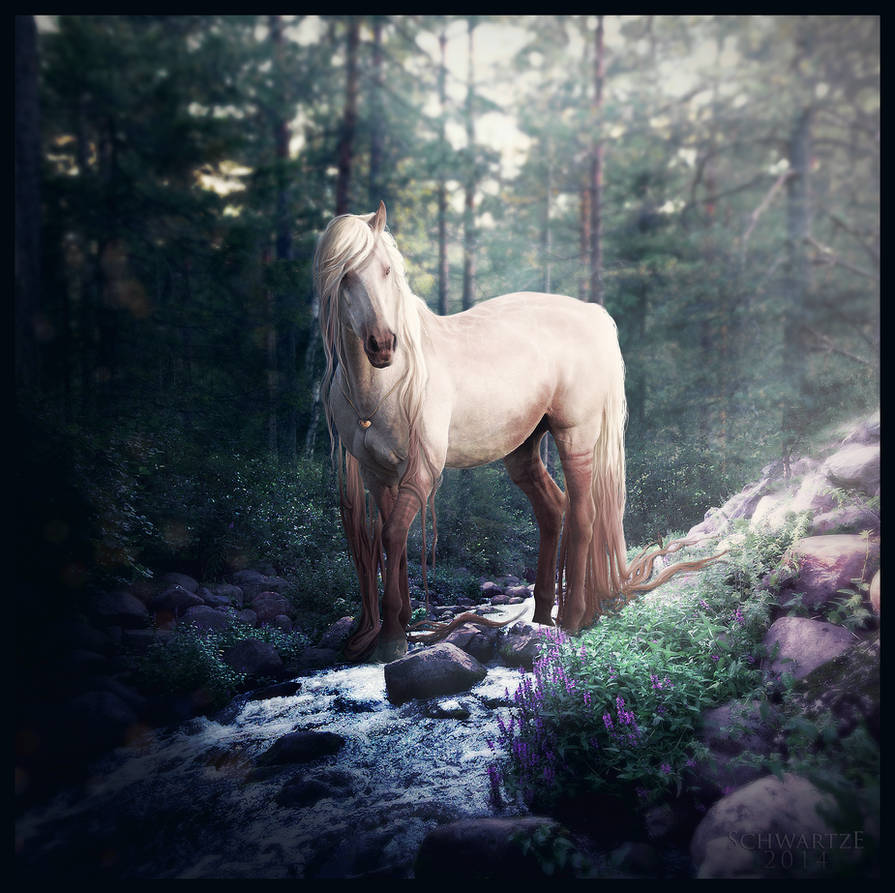 Forest Princess by kaons