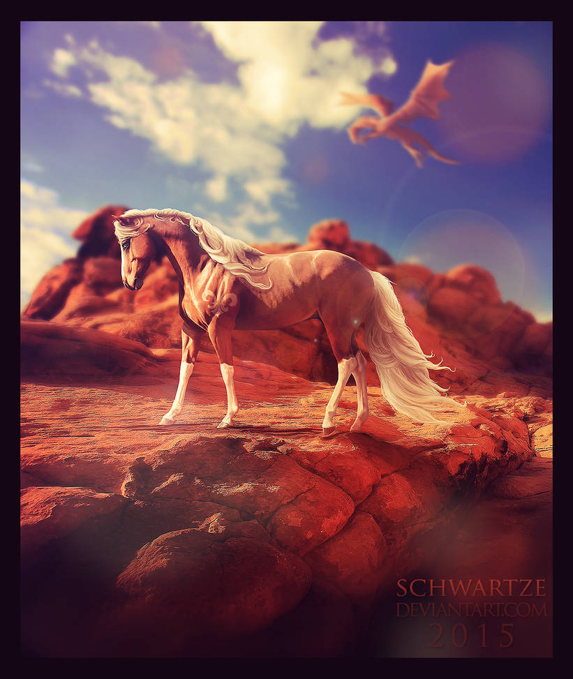 Everyone has to face the sun by kaons