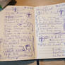 Diary of a Tourist