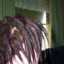 fresh dreads