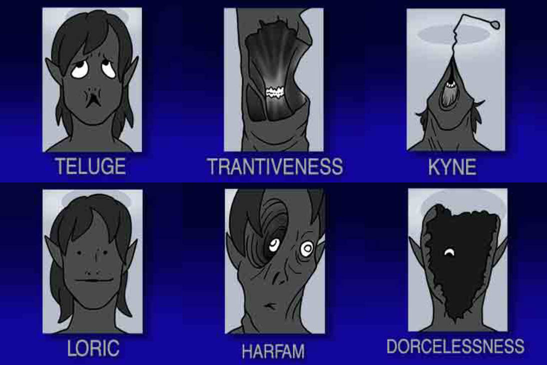 DORCELESSNESS by RebeccaRaptor on DeviantArt