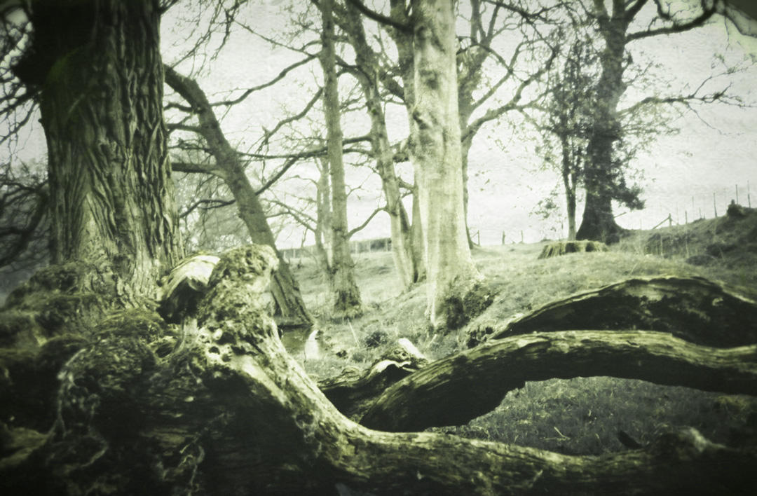 The Goblin Tree by tinder on DeviantArt