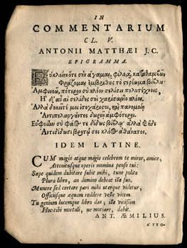Latin Law 3 by tinder