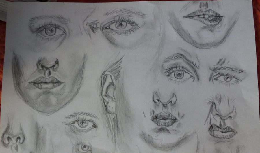 facial features by isabelartfreak on DeviantArt