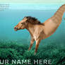 Seahorse Premade