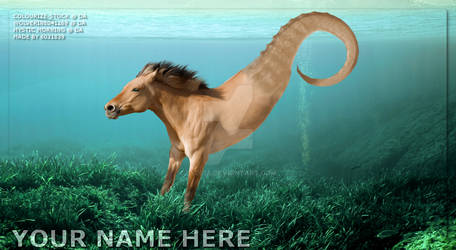 Seahorse Premade