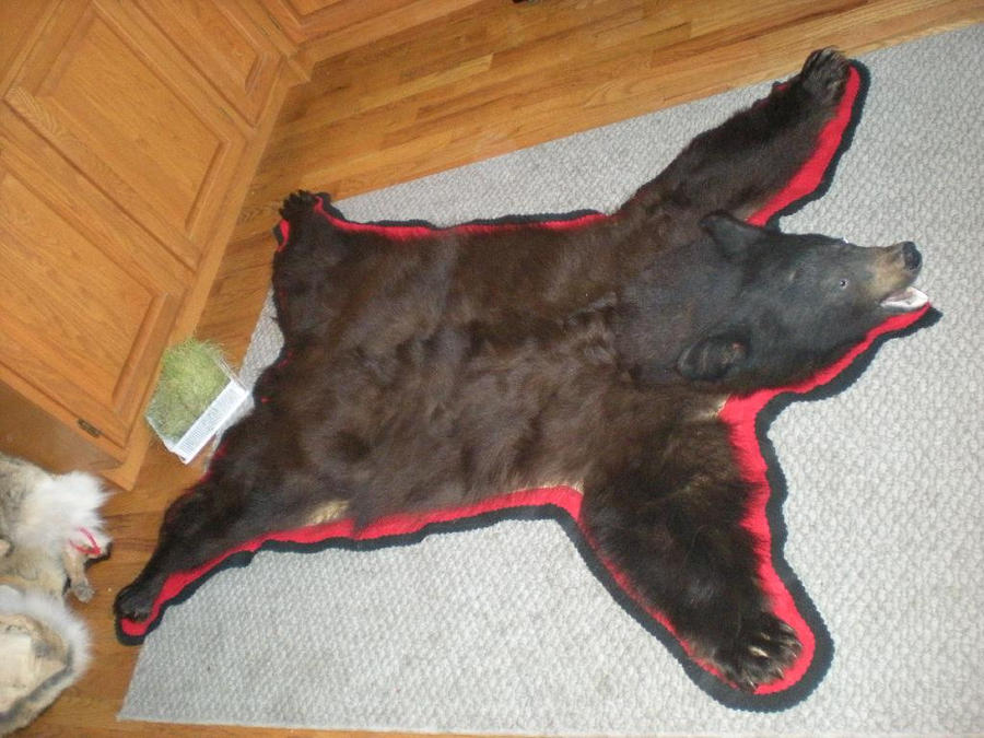 Bear Rug- Black Bear by Minotaur-Queen on DeviantArt