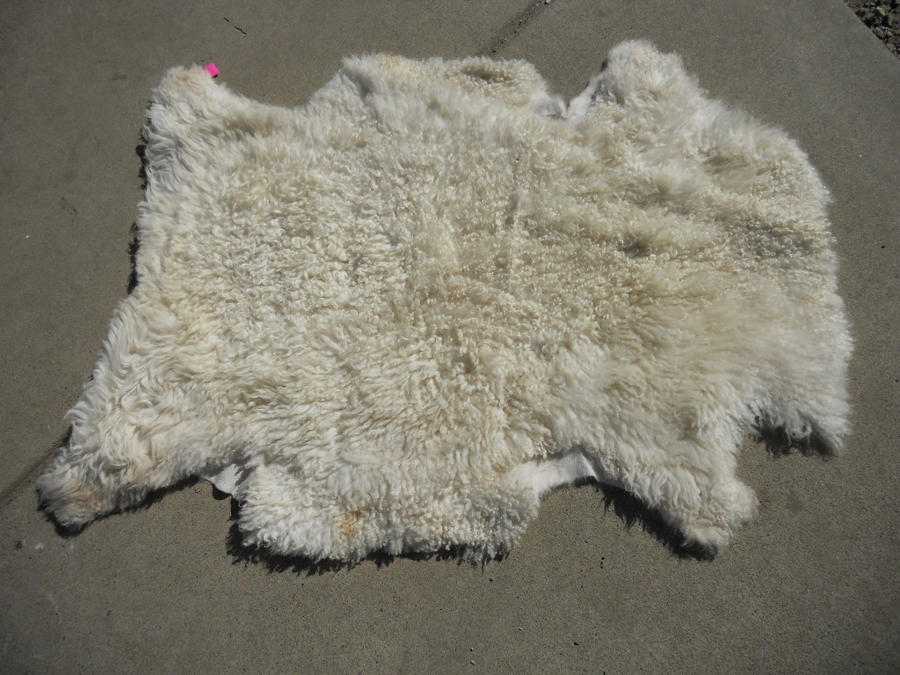 Romney sheepskin