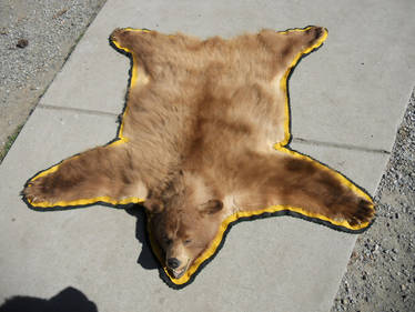 Cinnamon Black Bear Rug