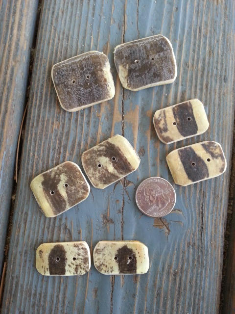 Turtle Shell Buttons Red Eared Slider Turtle Shell Buttons by Minotaur-Queen on DeviantArt