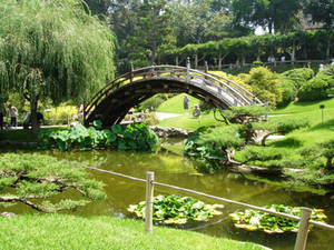 Japanese Garden