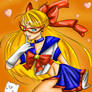 Sailor V