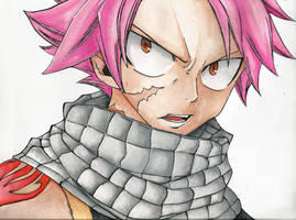 Natsu Dragneel -  I'll Burn You Into Ashes!!