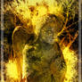 Angel from Hell