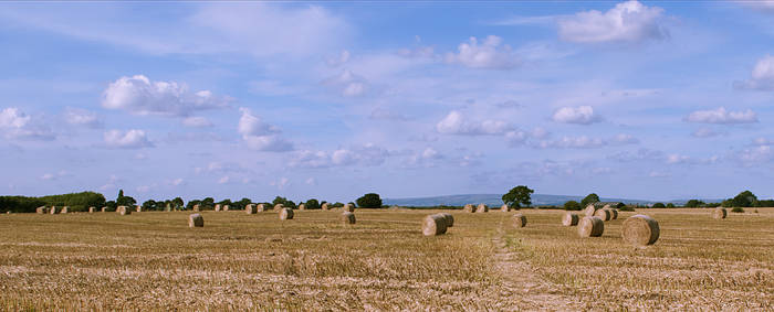 Haystacks