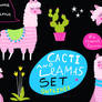 Funny llamas and cacti collection