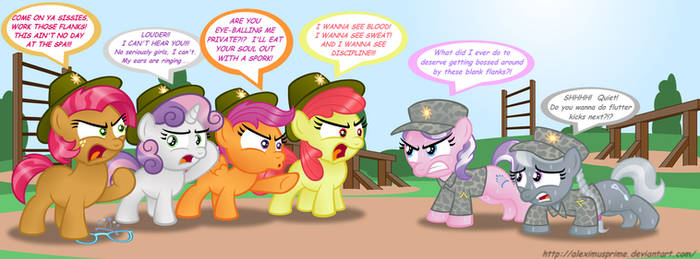 Commission:  CMC DRILL SERGEANTS YAY!!!