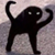 Cursed angry cat icon