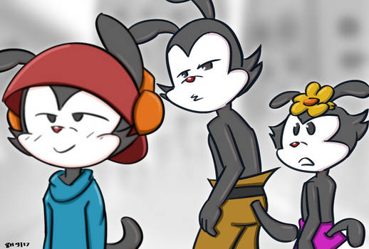 Distracted Yakko