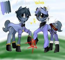 MLP FiM OC'S - Velox and Callidus Hoof