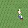 Fly Luigi! Fly!