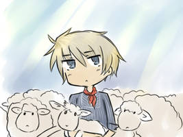 Sheep