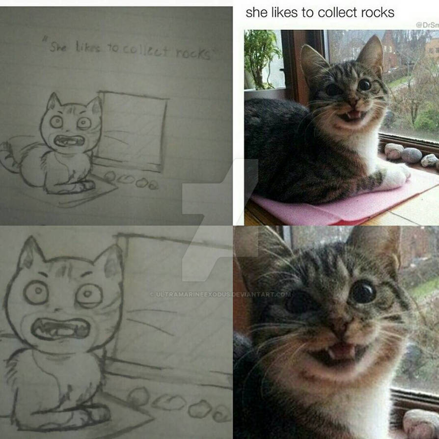 she collects rocks cat meme draw by UltramarineExodus on DeviantArt