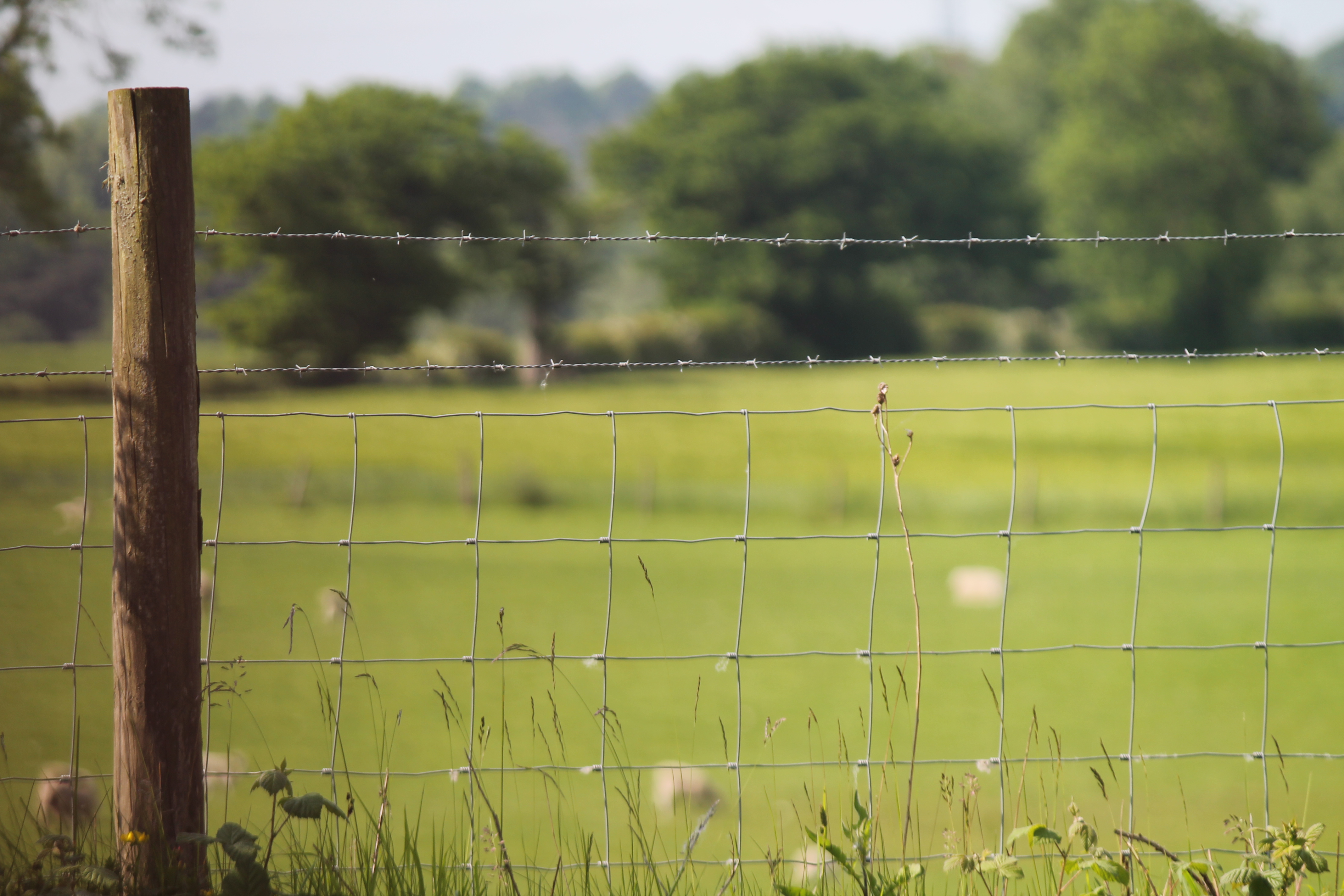 Barriers of nature