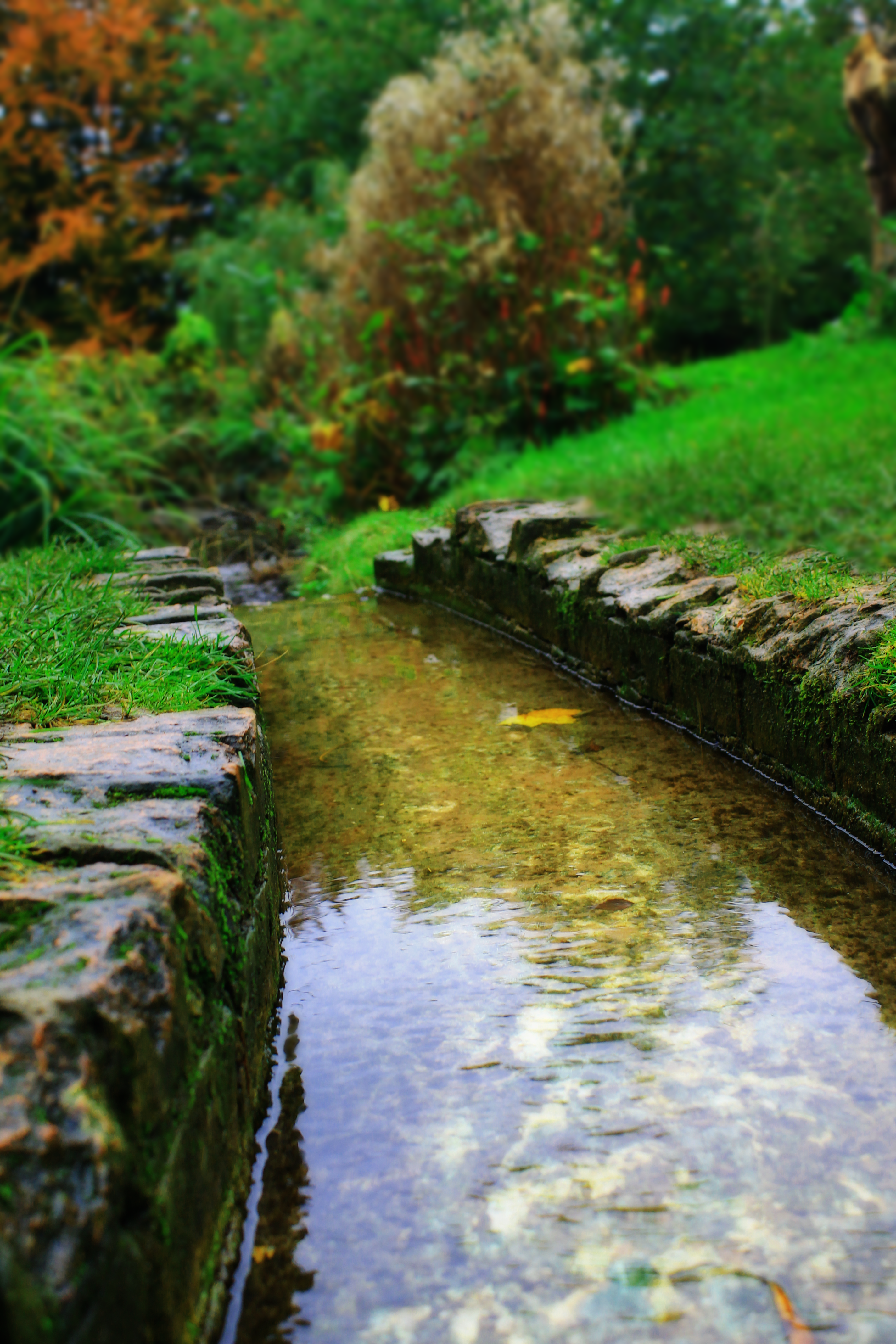 By the stream